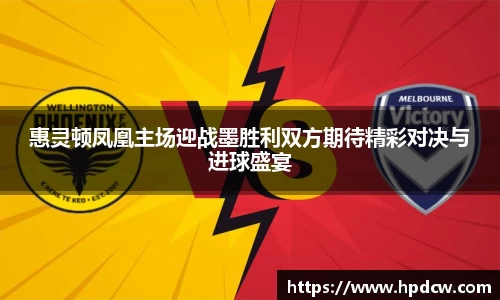 B体育bsports